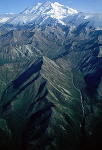 A31-Denali.JPG