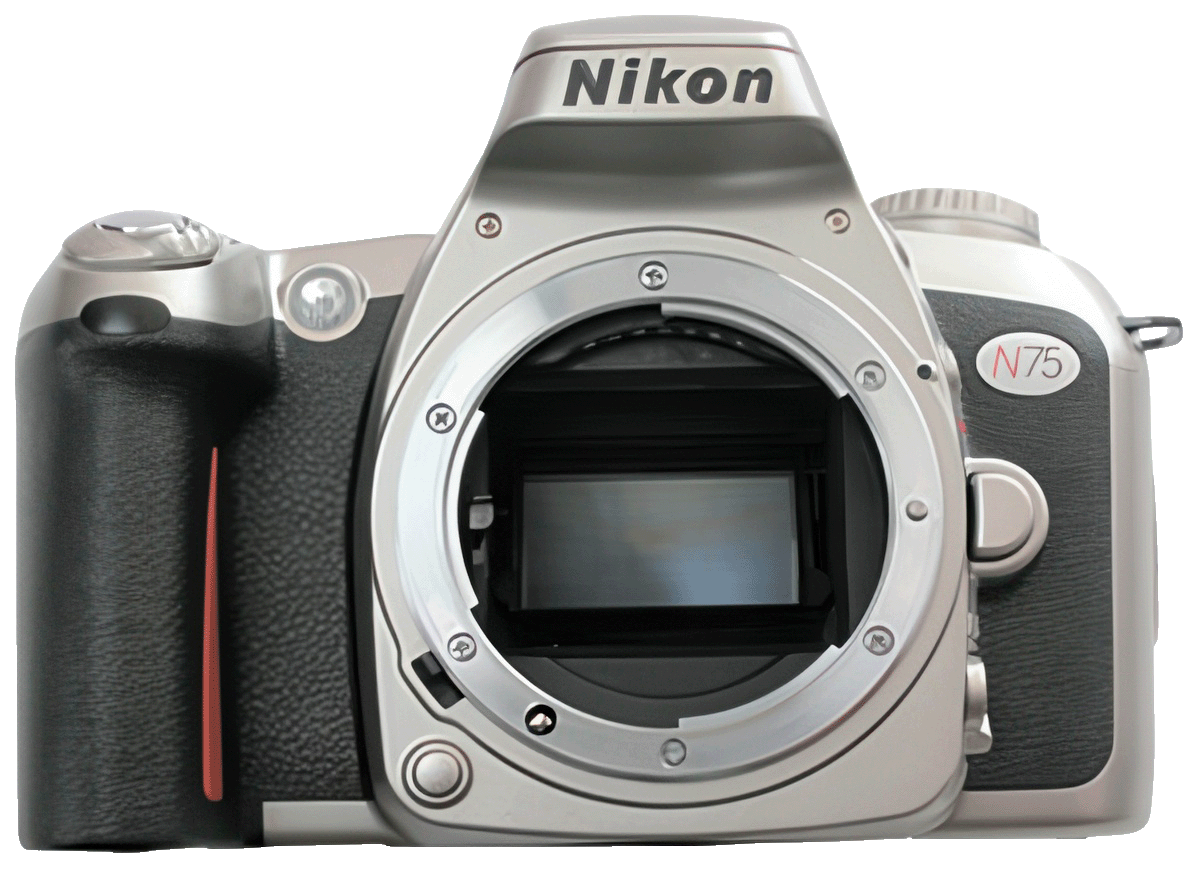 Nikon N75 SLR camera